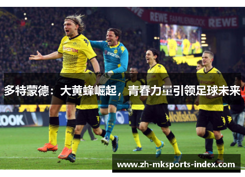 多特蒙德:大黄蜂崛起,青春力量引领足球未来 多特蒙德:大黄蜂崛起,青春力量引领足球未来